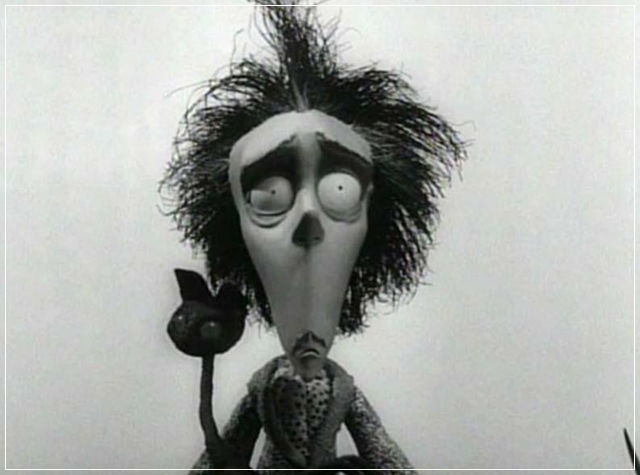 fot. materiały prasowe